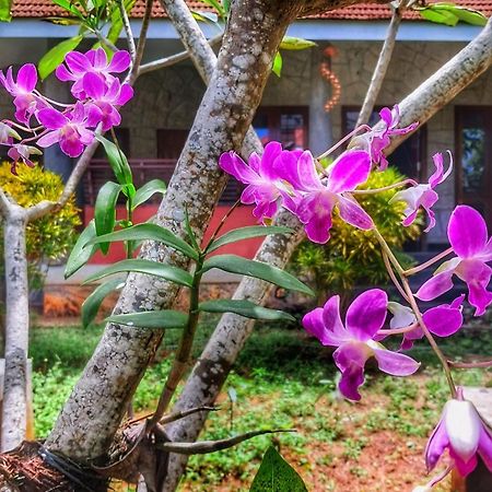 קובאלאם Vedic Heritage Boutique Hotel מראה חיצוני תמונה